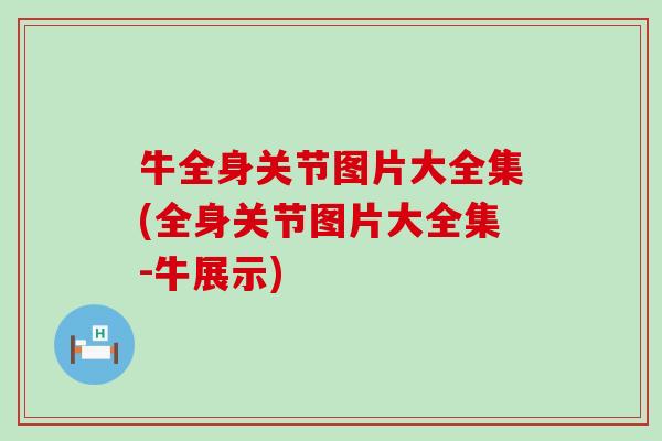 牛全身关节图片大全集(全身关节图片大全集-牛展示)