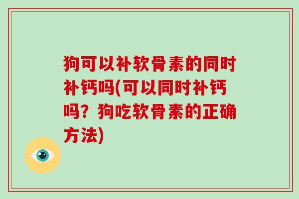 狗可以补软骨素的同时补钙吗(可以同时补钙吗?狗吃软骨素的正确方法) 狗可以补软骨素的同时补钙吗(可以同时补钙吗?狗吃软骨素的正确方法)