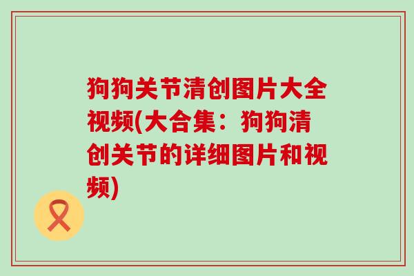 狗狗关节清创图片大全视频(大合集：狗狗清创关节的详细图片和视频)
