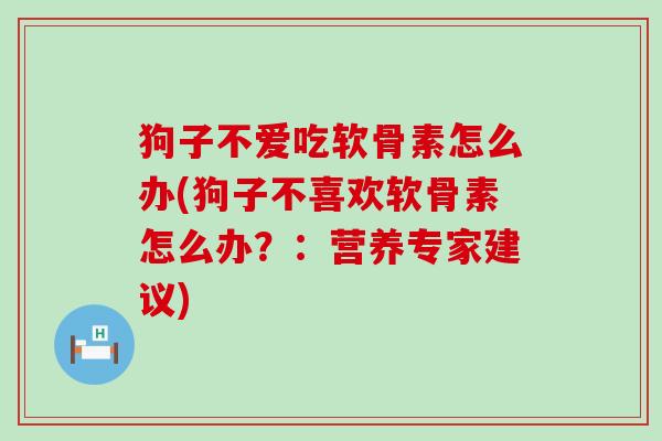 狗子不爱吃软骨素怎么办(狗子不喜欢软骨素怎么办？：营养专家建议)