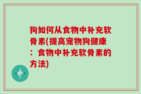 狗如何从食物中补充软骨素(提高宠物狗健康:食物中补充软骨素的方法) 狗如何从食物中补充软骨素(提高宠物狗健康:食物中补充软骨素的方法)
