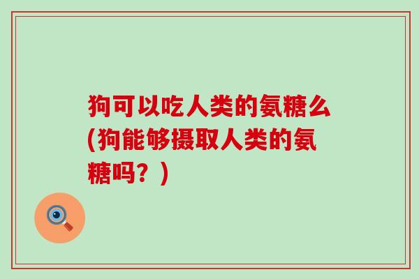 狗可以吃人类的氨糖么(狗能够摄取人类的氨糖吗？)