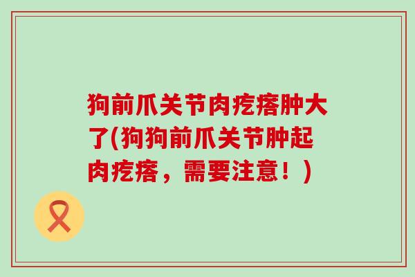 狗前爪关节肉疙瘩肿大了(狗狗前爪关节肿起肉疙瘩,需要注意!) 狗前爪关节肉疙瘩肿大了(狗狗前爪关节肿起肉疙瘩,需要注意!)