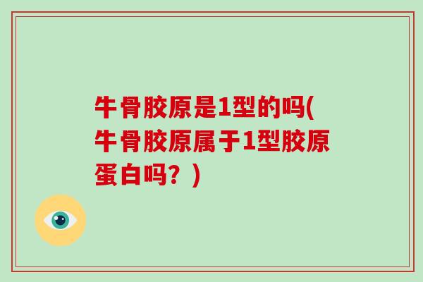 牛骨胶原是1型的吗(牛骨胶原属于1型胶原蛋白吗?) 牛骨胶原是1型的吗(牛骨胶原属于1型胶原蛋白吗?)
