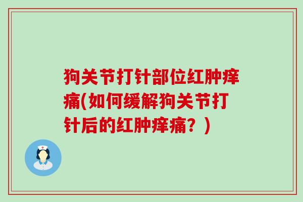 狗关节打针部位红肿痒痛(如何缓解狗关节打针后的红肿痒痛？)