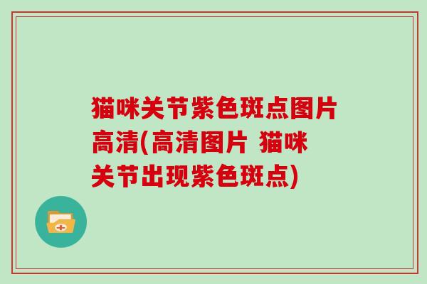 猫咪关节紫色斑点图片高清(高清图片 猫咪关节出现紫色斑点)