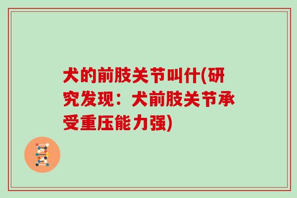 犬的前肢关节叫什(研究发现:犬前肢关节承受重压能力强) 犬的前肢关节叫什(研究发现:犬前肢关节承受重压能力强)
