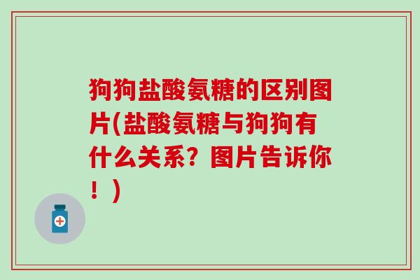 狗狗盐酸氨糖的区别图片(盐酸氨糖与狗狗有什么关系？图片告诉你！)