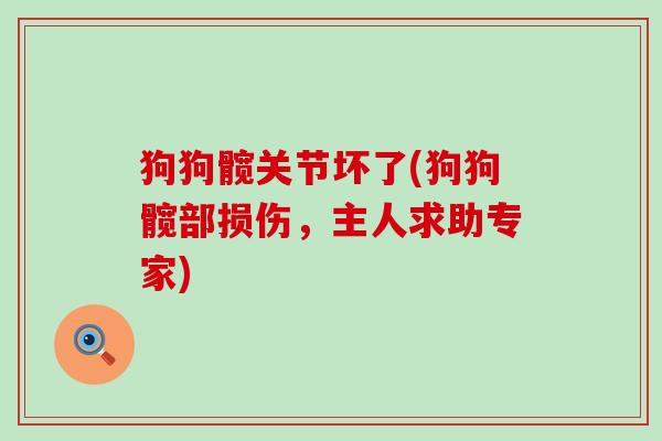 狗狗髋关节坏了(狗狗髋部损伤，主人求助专家)