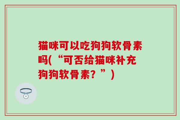 猫咪可以吃狗狗软骨素吗(“可否给猫咪补充狗狗软骨素?”) 猫咪可以吃狗狗软骨素吗(“可否给猫咪补充狗狗软骨素?”)