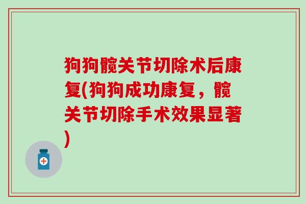 狗狗髋关节切除术后康复(狗狗成功康复,髋关节切除手术效果显著) 狗狗髋关节切除术后康复(狗狗成功康复,髋关节切除手术效果显著)