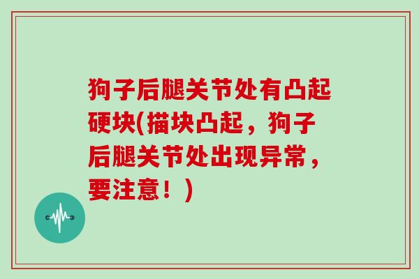 狗子后腿关节处有凸起硬块(描块凸起,狗子后腿关节处出现异常,要注意!) 狗子后腿关节处有凸起硬块(描块凸起,狗子后腿关节处出现异常,要注意!)