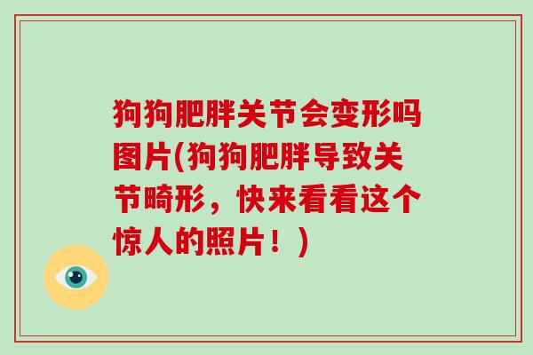 狗狗关节会变形吗图片(狗狗导致关节畸形,快来看看这个惊人的照片!) 狗狗关节会变形吗图片(狗狗导致关节畸形,快来看看这个惊人的照片!)