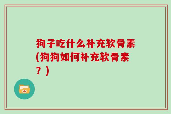 狗子吃什么补充软骨素(狗狗如何补充软骨素?) 狗子吃什么补充软骨素(狗狗如何补充软骨素?)