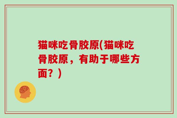 猫咪吃骨胶原(猫咪吃骨胶原,有助于哪些方面?) 猫咪吃骨胶原(猫咪吃骨胶原,有助于哪些方面?)