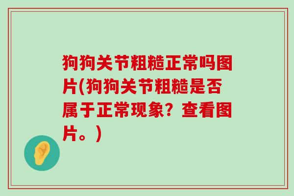 狗狗关节粗糙正常吗图片(狗狗关节粗糙是否属于正常现象？查看图片。)