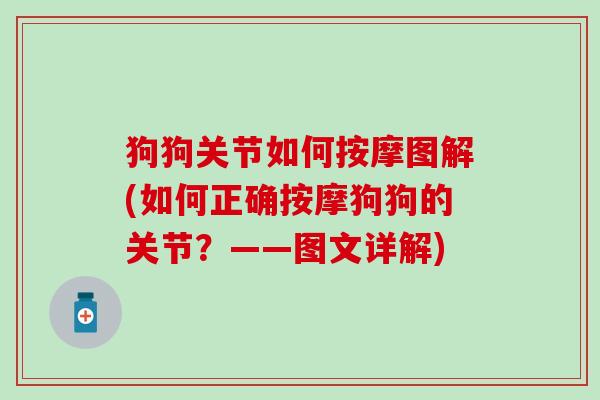 狗狗关节如何按摩图解(如何正确按摩狗狗的关节？——图文详解)