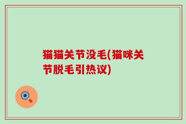 猫猫关节没毛(猫咪关节脱毛引热议) 猫猫关节没毛(猫咪关节脱毛引热议)