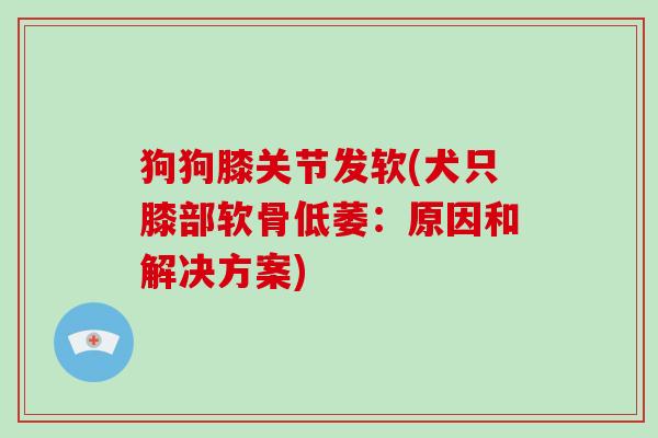 狗狗膝关节发软(犬只膝部软骨低萎:原因和解决方案) 狗狗膝关节发软(犬只膝部软骨低萎:原因和解决方案)