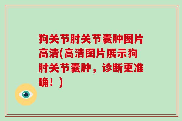 狗关节肘关节囊肿图片高清(高清图片展示狗肘关节囊肿,诊断更准确!) 狗关节肘关节囊肿图片高清(高清图片展示狗肘关节囊肿,诊断更准确!)