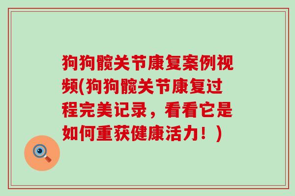 狗狗髋关节康复案例视频(狗狗髋关节康复过程完美记录,看看它是如何重获健康活力!) 狗狗髋关节康复案例视频(狗狗髋关节康复过程完美记录,看看它是如何重获健康活力!)