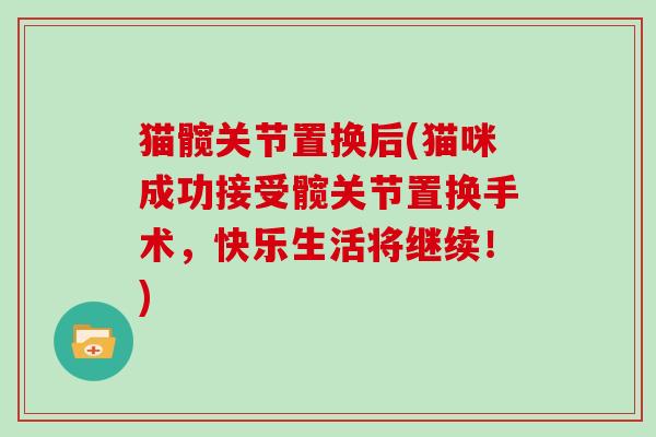 猫髋关节置换后(猫咪成功接受髋关节置换手术,快乐生活将继续!) 猫髋关节置换后(猫咪成功接受髋关节置换手术,快乐生活将继续!)