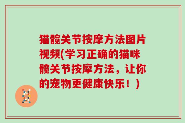猫髋关节按摩方法图片视频(学习正确的猫咪髋关节按摩方法,让你的宠物更健康快乐!) 猫髋关节按摩方法图片视频(学习正确的猫咪髋关节按摩方法,让你的宠物更健康快乐!)