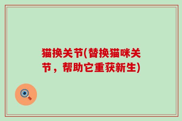 猫换关节(替换猫咪关节,帮助它重获新生) 猫换关节(替换猫咪关节,帮助它重获新生)