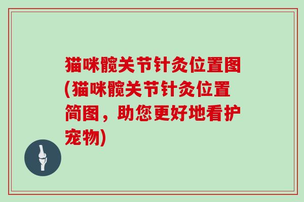 猫咪髋关节针灸位置图(猫咪髋关节针灸位置简图,助您更好地看护宠物) 猫咪髋关节针灸位置图(猫咪髋关节针灸位置简图,助您更好地看护宠物)