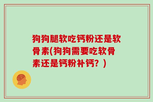 狗狗腿软吃钙粉还是软骨素(狗狗需要吃软骨素还是钙粉补钙?) 狗狗腿软吃钙粉还是软骨素(狗狗需要吃软骨素还是钙粉补钙?)
