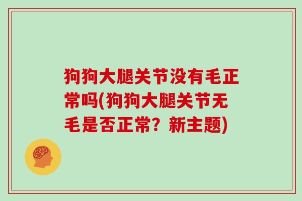 狗狗大腿关节没有毛正常吗(狗狗大腿关节无毛是否正常?新主题) 狗狗大腿关节没有毛正常吗(狗狗大腿关节无毛是否正常?新主题)