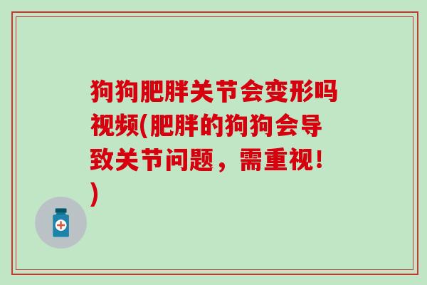 狗狗关节会变形吗视频(的狗狗会导致关节问题,需重视!) 狗狗关节会变形吗视频(的狗狗会导致关节问题,需重视!)