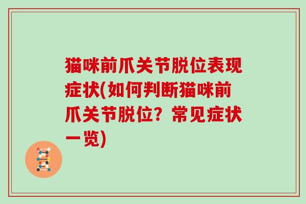 猫咪前爪关节脱位表现症状(如何判断猫咪前爪关节脱位?常见症状一览) 猫咪前爪关节脱位表现症状(如何判断猫咪前爪关节脱位?常见症状一览)