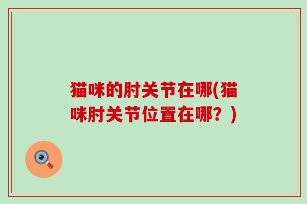 猫咪的肘关节在哪(猫咪肘关节位置在哪?) 猫咪的肘关节在哪(猫咪肘关节位置在哪?)
