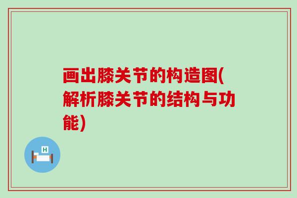 画出膝关节的构造图(解析膝关节的结构与功能)