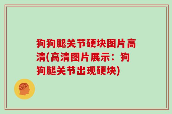 狗狗腿关节硬块图片高清(高清图片展示：狗狗腿关节出现硬块)