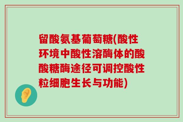 留酸氨基葡萄糖(酸性环境中酸性溶酶体的酸酸糖酶途径可调控酸性粒细胞生长与功能) 留酸氨基葡萄糖(酸性环境中酸性溶酶体的酸酸糖酶途径可调控酸性粒细胞生长与功能)