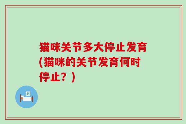 猫咪关节多大停止发育(猫咪的关节发育何时停止?) 猫咪关节多大停止发育(猫咪的关节发育何时停止?)