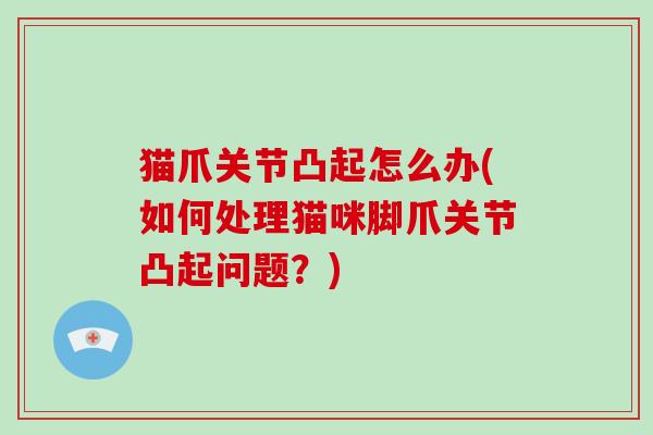 猫爪关节凸起怎么办(如何处理猫咪脚爪关节凸起问题?) 猫爪关节凸起怎么办(如何处理猫咪脚爪关节凸起问题?)