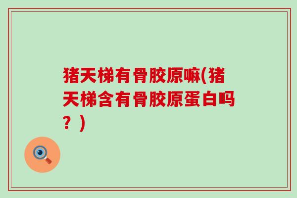 猪天梯有骨胶原嘛(猪天梯含有骨胶原蛋白吗?) 猪天梯有骨胶原嘛(猪天梯含有骨胶原蛋白吗?)