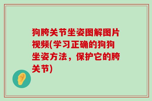 狗胯关节坐姿图解图片视频(学习正确的狗狗坐姿方法，保护它的胯关节)