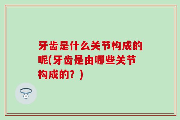 牙齿是什么关节构成的呢(牙齿是由哪些关节构成的？)