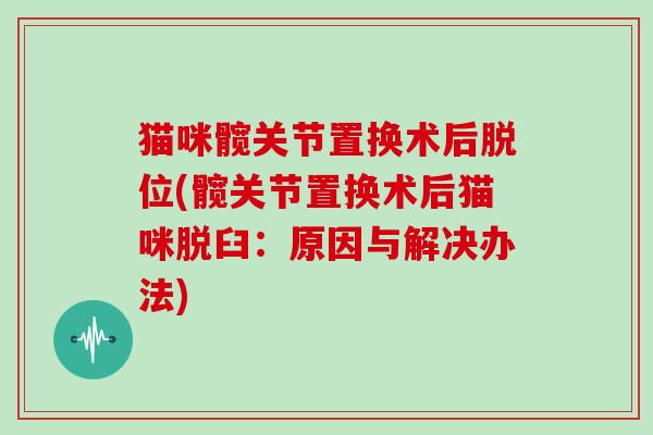 猫咪髋关节置换术后脱位(髋关节置换术后猫咪脱臼:原因与解决办法) 猫咪髋关节置换术后脱位(髋关节置换术后猫咪脱臼:原因与解决办法)
