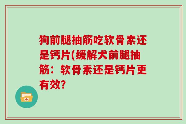 狗前腿抽筋吃软骨素还是钙片(缓解犬前腿抽筋:软骨素还是钙片更有效? 狗前腿抽筋吃软骨素还是钙片(缓解犬前腿抽筋:软骨素还是钙片更有效?