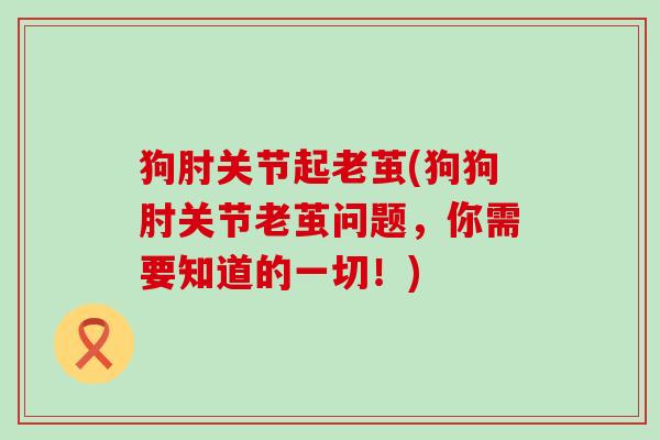狗肘关节起老茧(狗狗肘关节老茧问题，你需要知道的一切！)