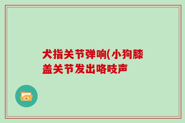 犬指关节弹响(小狗膝盖关节发出咯吱声