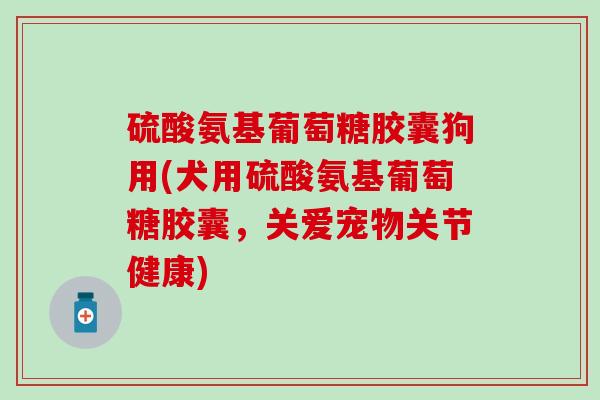 硫酸氨基葡萄糖胶囊狗用(犬用硫酸氨基葡萄糖胶囊,关爱宠物关节健康) 硫酸氨基葡萄糖胶囊狗用(犬用硫酸氨基葡萄糖胶囊,关爱宠物关节健康)