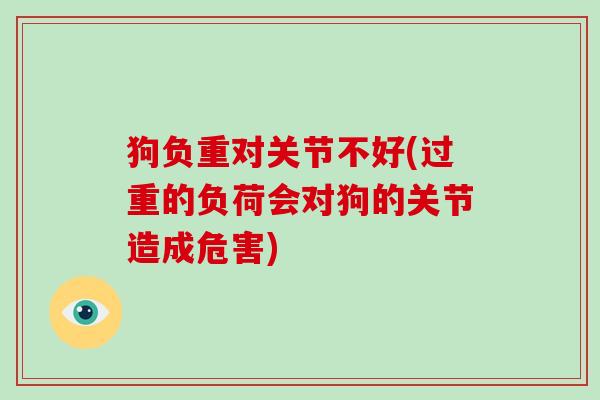 狗负重对关节不好(过重的负荷会对狗的关节造成危害) 狗负重对关节不好(过重的负荷会对狗的关节造成危害)