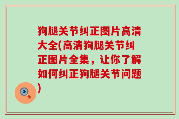 狗腿关节纠正图片高清大全(高清狗腿关节纠正图片全集,让你了解如何纠正狗腿关节问题) 狗腿关节纠正图片高清大全(高清狗腿关节纠正图片全集,让你了解如何纠正狗腿关节问题)