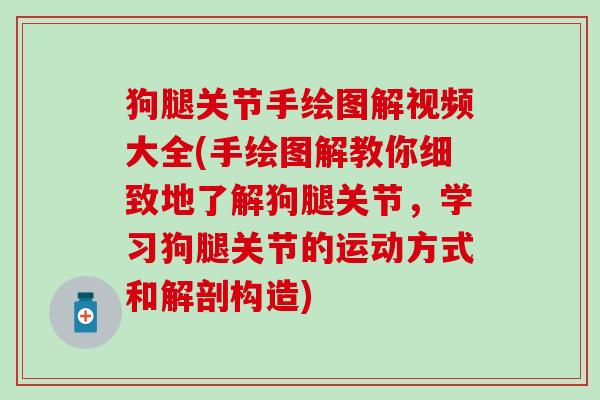 狗腿关节手绘图解视频大全(手绘图解教你细致地了解狗腿关节,学习狗腿关节的运动方式和解剖构造) 狗腿关节手绘图解视频大全(手绘图解教你细致地了解狗腿关节,学习狗腿关节的运动方式和解剖构造)